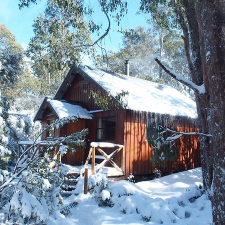 Cradle Highlander Villa Cradle Mountain Exteriör bild