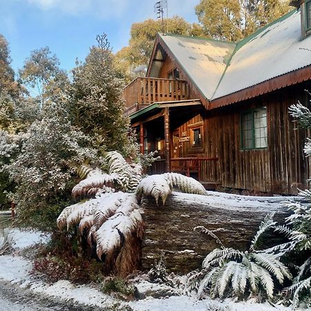 Cradle Highlander Villa Cradle Mountain Exteriör bild