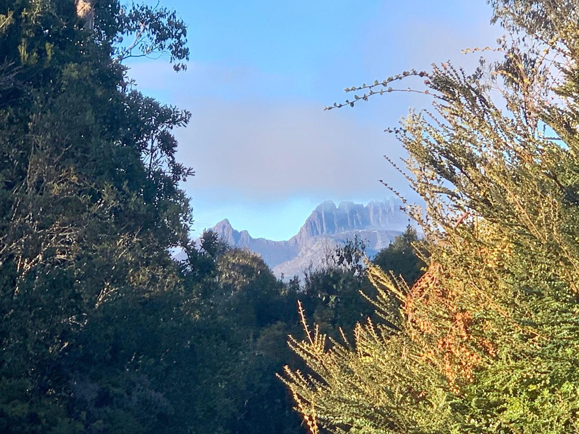 Cradle Highlander Villa Cradle Mountain Exteriör bild