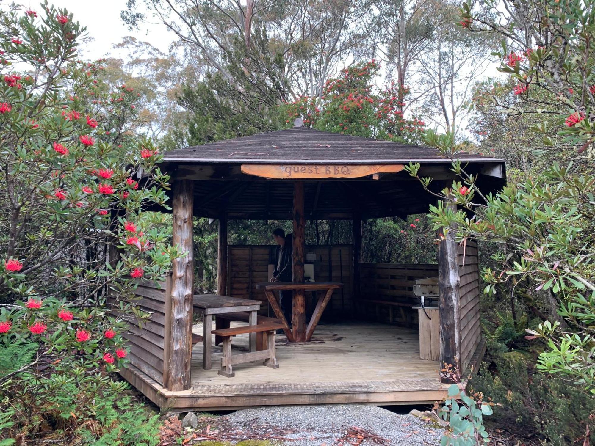 Cradle Highlander Villa Cradle Mountain Exteriör bild