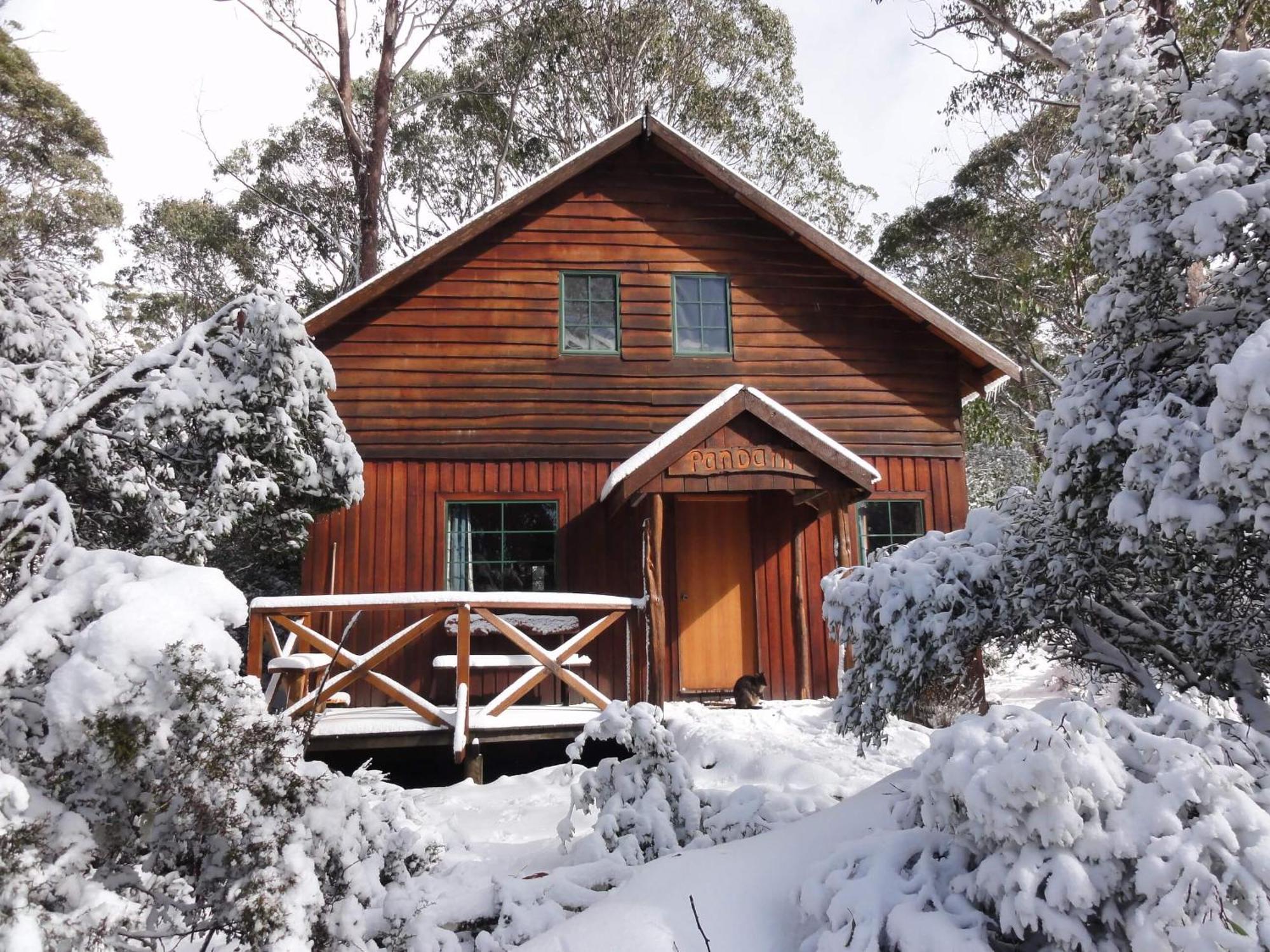 Cradle Highlander Villa Cradle Mountain Exteriör bild