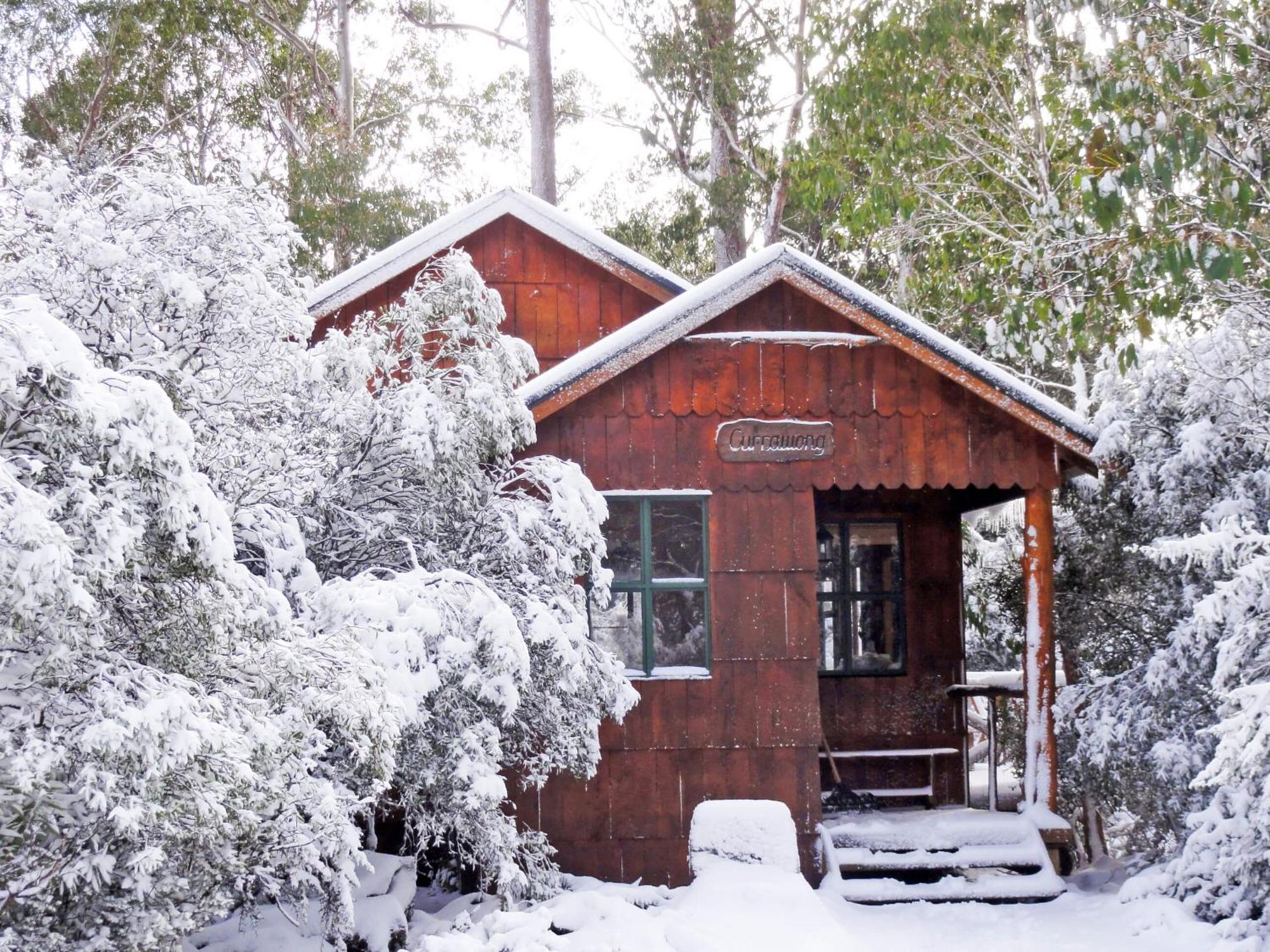 Cradle Highlander Villa Cradle Mountain Exteriör bild